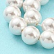Electroplated Shell Pearl Beads Strands(SHEL-F008-03B-01)-3