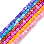 Natural Freshwater Shell Beads Strands, Mixed Dyed and Undyed, Column, Mixed Color, 3.5x3.5mm, Hole: 0.8mm, about 110~113pcs/strand, 14.69 inch~15.08 inch(37.3~38.3cm)(SHEL-N003-33)