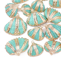 Spray Paint & Electroplate Sea Shell Pendants, with Iron Findings, Light Gold, Turquoise, 18~30x20~30x7~11mm, Hole: 2mm(X-SSHEL-S262-09C)