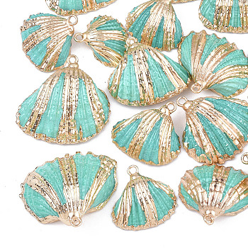 Spray Paint & Electroplate Sea Shell Pendants, with Iron Findings, Light Gold, Turquoise, 18~30x20~30x7~11mm, Hole: 2mm
