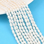 Natural Cultured Freshwater Pearl Beads Strands, Rice, Grade A+, PapayaWhip, 3~4mm, Hole: 0.4mm, about 62~80pcs/strand, 14.37~14.57''(36.5~37cm)(PEAR-F020-08)
