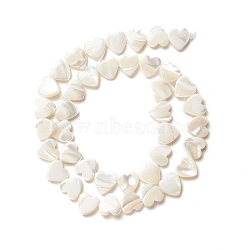 Natural Trochid Shell/Trochus Shell Beads, Peach Heart, Seashell Color, 10x10x2.5~3mm, Hole: 0.8mm, about 40pcs/strand, 15.75 inch(40cm)(SSHEL-O001-27B)