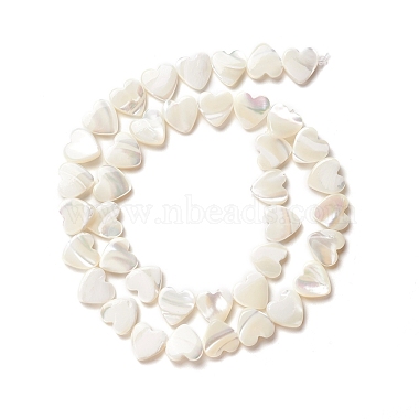 Seashell Color Heart Trochus Shell Beads