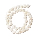 Natural Trochid Shell/Trochus Shell Beads(SSHEL-O001-27B)-1