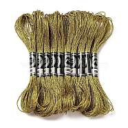 10 Skeins 12-Ply Metallic Polyester Embroidery Floss, Glitter Cross Stitch Threads for Craft Needlework Hand Embroidery, Friendship Bracelets Braided String, Goldenrod, 0.8mm, about 8.75 Yards(8m)/skein(OCOR-Q057-A06)