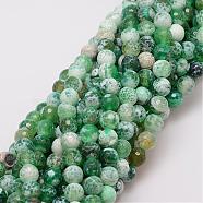 Natural Fire Crackle Agate Bead Strands, Dyed, Faceted, Round, Sea Green, 8mm, Hole: 1mm, about 47pcs/strand, 14 inch(G-G882-8mm-B01)