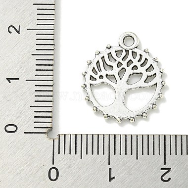 Tibetan Style Alloy Pendants(TIBE-I026-5975AS)-3