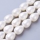Electroplate Shell Pearl Beads Strands(BSHE-O019-05)-1