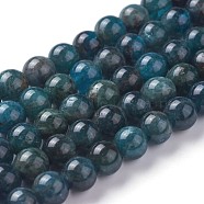 Natural Apatite Beads Strands, Round, 8mm, Hole: 1.2mm, about 46~47pcs/strand, 14.7~15.5 inch(3~39.5cm)(G-F627-07-C)