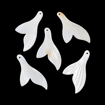 Natural Freshwater Shell Pendants, Fish Tail Charms, Ghost White, 44~45x24.5x2~3mm, Hole: 1.6mm