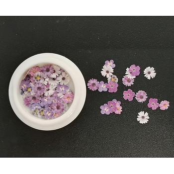 Paper Cabochons, Nail Art Decorations, Flower, Colorful, 4~8x4~8x0.1mm, about 50pcs/box