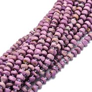 Natural Phosphosiderite Beads Strands, with Seed Beads, Chip, 6~8x5~6x2~5mm, Hole: 0.8mm, about 70pcs/strand, 15.35''(39cm)(G-E576-54)