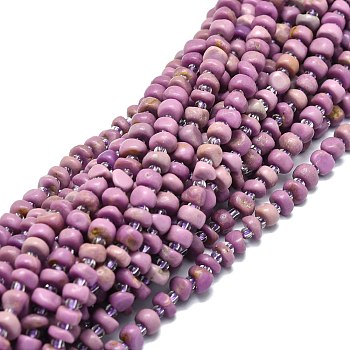 Natural Phosphosiderite Beads Strands, with Seed Beads, Chip, 6~8x5~6x2~5mm, Hole: 0.8mm, about 70pcs/strand, 15.35''(39cm)
