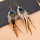 Alloy Feather Dangle Earrings(FS-WGF4526-02)-1