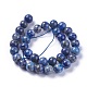 Natural Lapis Lazuli Beads Strands(G-E483-17-10mm)-3