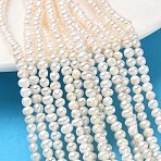 Natural Cultured Freshwater Pearl Beads Strands, Grade 3A, Potato, Beige, 2.8~3.2mm, Hole: 0.2mm, about 111~112pcs/strand, 14.29~14.37''(36.3~36.5cm)(PA-CBAC463-20)
