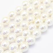 Shell Pearl Beads Strands, Oval, Creamy White, 15x13mm, Hole: 1mm, about 24pcs/strand, 15.5 inch(39.5cm)(BSHE-P024-12A)