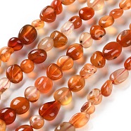 Natural Carnelian Beads Strands, Nuggets, Tumbled Stone, 4.5~11.5x3~7x3.5~6mm, Hole: 1.2mm, about 48~68pcs/strand, 15.35~15.94''(39~40.5cm)(G-P497-01C-35)