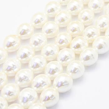 Shell Pearl Beads Strands, Oval, Creamy White, 15x13mm, Hole: 1mm, about 24pcs/strand, 15.5 inch(39.5cm)