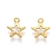 201 Stainless Steel Charms(STAS-B001-28A-G)-1
