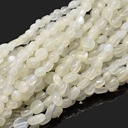 Natural Moonstone Nuggets Beads Strands, 5~10x6~7x3~7mm, hole: 1mm, about 14.9 inch~15.7 inch(X-G-J335-45)