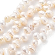 Natural Cultured Freshwater Pearl Beads Strands, Rice, Seashell Color, 6.5~8x5~5.5mm, Hole: 0.5mm, about 72pcs/strand, 13.82''(35.1cm)(PEAR-J007-81A)