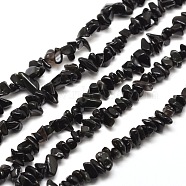 Natural Obsidian Chip Bead Strands, 5~8x5~8mm, Hole: 1mm, about 31.5 inch(G-M205-06)