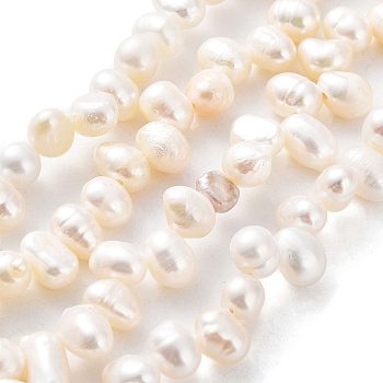 Natural Cultured Freshwater Pearl Beads Strands, Rice, Seashell Color, 6.5~8x5~5.5mm, Hole: 0.5mm, about 72pcs/strand, 13.82''(35.1cm)