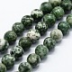 Chapelets de perles en jaspe à pois verts naturels(G-I199-30-10mm)-1