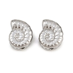 304 Stainless Steel Beads, Nautilus Shell Shape, Stainless Steel Color, 8.5x7x4mm, Hole: 1.2mm(STAS-L022-593P)