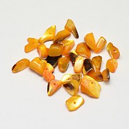 Dyed Natural Shell Nuggets Chips Beads, Orange, 11~16x6~9mm, Hole: 1mm, about 980pcs/500g(BSHE-O007-04D)
