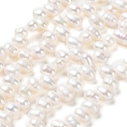 Natural Cultured Freshwater Pearl Beads Strands, Grade 5A, Rice, Seashell Color, 7~8x4~5mm, Hole: 0.5mm, about 70pcs/strand, 13.66''(34.7cm)(PEAR-J007-85)