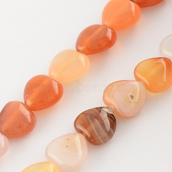 Dyed Natural Red Agate Bead Strands, Heart, Orange Red, 10x10x5mm, Hole: 1mm, about 40pcs/strand, 15.3 inch(G-R190-09)