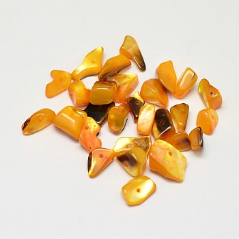 Dyed Natural Shell Nuggets Chips Beads, Orange, 11~16x6~9mm, Hole: 1mm, about 980pcs/500g