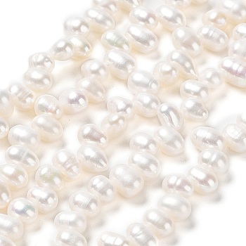 Natural Cultured Freshwater Pearl Beads Strands, Grade 5A, Rice, Seashell Color, 7~8x4~5mm, Hole: 0.5mm, about 70pcs/strand, 13.66''(34.7cm)