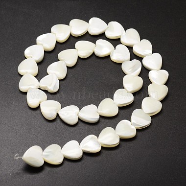 Natural Trochid Shell/Trochus Shell Beads Strands(SSHEL-K012-01-A)-2