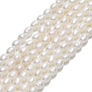 Natural Cultured Freshwater Pearl Beads Strands, Rice, Linen, 4~4.5x3~4mm, Hole: 0.5mm, about 76~77pcs/strand, 14.17''(36cm)(PEAR-J006-08C-01)