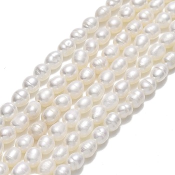 Natural Cultured Freshwater Pearl Beads Strands, Rice, Linen, 4~4.5x3~4mm, Hole: 0.5mm, about 76~77pcs/strand, 14.17''(36cm)