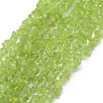 Natural Peridot Beads Strands, Chip, 3~5mm, Hole: 0.6mm, about 33 inch(84cm)