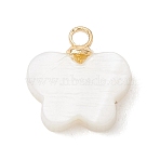 Natural Freshwater Shell Butterfly Charms with Brass Bails, Golden, White, 10.5x11x3.5mm, Hole: 1.5mm(PALLOY-JF04894)