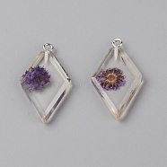 Transparent Clear Resin Pendants, with Dried Flower, Platinum Iron Loop, Rhombus, Purple, 32x18x4mm, Hole: 1.5mm, 2pcs/bag(RESI-TAC0007-06B)