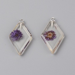 Transparent Clear Resin Pendants, with Dried Flower, Platinum Iron Loop, Rhombus, Purple, 32x18x4mm, Hole: 1.5mm, 2pcs/bag(RESI-TAC0007-06B)