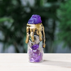 Raw Natural Amethyst Energy Bottle, Reiki Gemstone Chip inside Glass Wishing Bottle Halloween Home Decoration, 70~80mm(PW-WG50782-12)