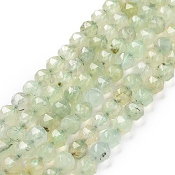 Natural Prehnite Beads Strands, Star Cut Round Beads, Faceted, 7~8x8mm, Hole: 0.9mm, about 49pcs/strand, 14.92 inch(37.9cm)~15.75 inch(40cm)(G-K323-18)