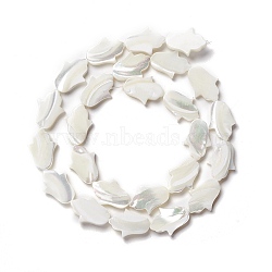 Natural Trochid Shell/Trochus Shell Beads, Hand, Seashell Color, 16x11.5x2.5~3mm, Hole: 0.9mm, about 25pcs/strand, 15.75 inch(40cm)(SSHEL-O001-23B)