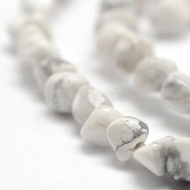 Natural Howlite Beads Strands(G-F465-05)-3