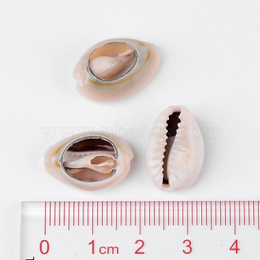 Natural Cowrie Shell Beads(BSHE-S053)-3
