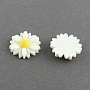 White Flower Resin Cabochons(X-CRES-Q103-01)