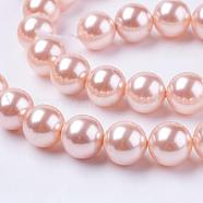 Shell Pearl Beads Strands, Round, Pink, 10mm, Hole: 1mm, about 38pcs/strand, 15.7 inch(BSHE-L035-10mm-I01)