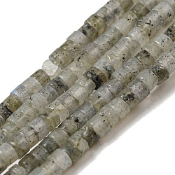 Natural Labradorite Beads Strands, Flat Round/Disc, Heishi Beads, 3x2mm, Hole: 0.8mm, about 167pcs/strand, 15.16 inch(38.5cm)(G-C084-D13-02)